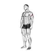 Rear deltoid stretch