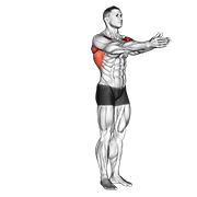 Dynamic chest stretch