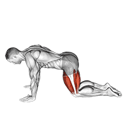 All fours squad stretch
