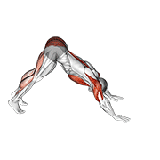 Pike to cobra push up